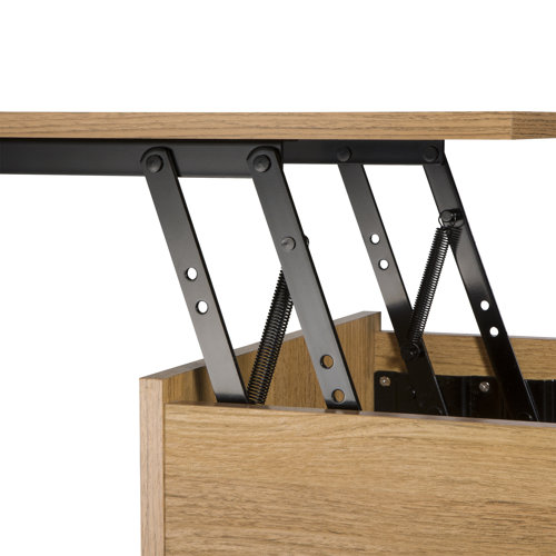 Sango Orre 22.75'' Tall LiftTop End Table with Storage & Reviews Wayfair